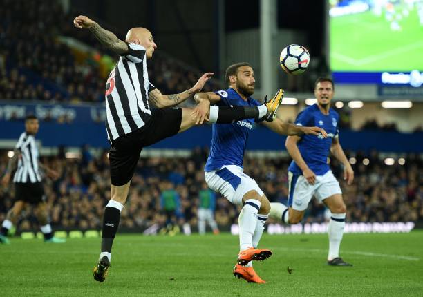 的艰苦训练 的艰苦训练